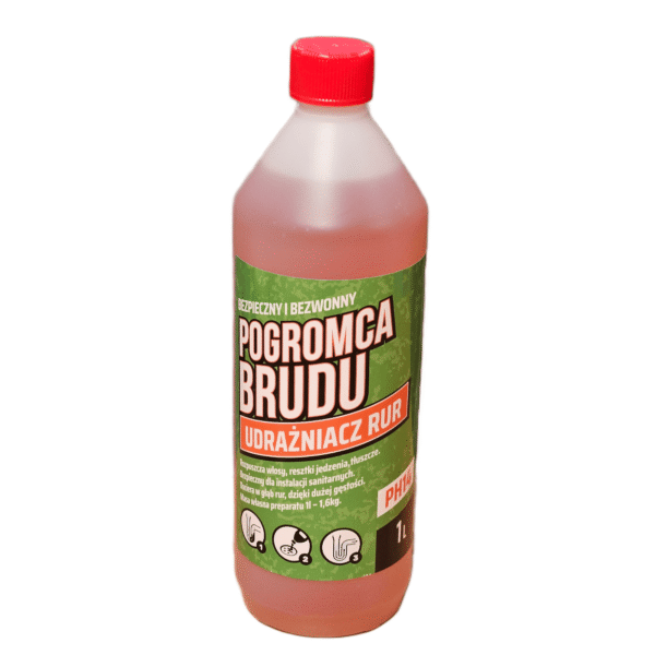Pogromca Brudu
